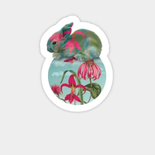 Raspberry Pink Flowers with Turquoise Sky Sticker